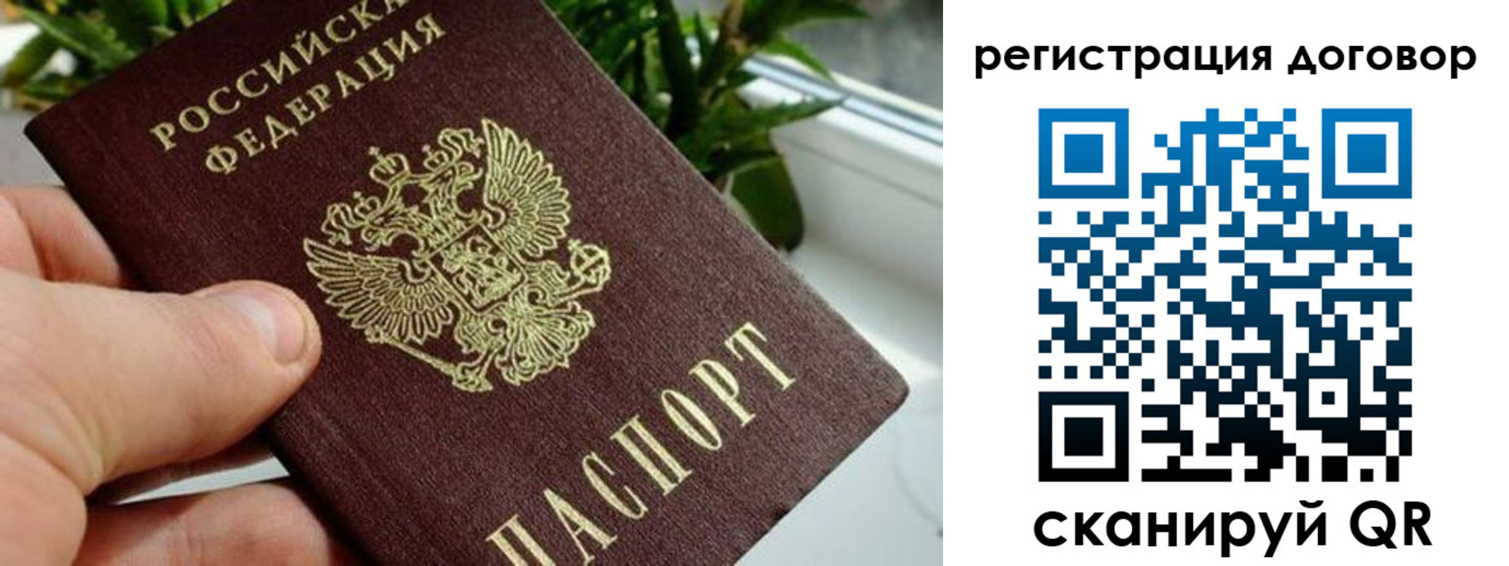 прописка ребенка в Щёкино
